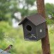 Pakshi Gruh- Mud Art Wooden Bird House- Chidakali Art