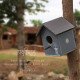 Pakshi Gruh- Mud Art Wooden Bird House- Tulsi Art