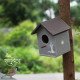 Pakshi Gruh- Mud Art Wooden Bird House- Vruksha Art